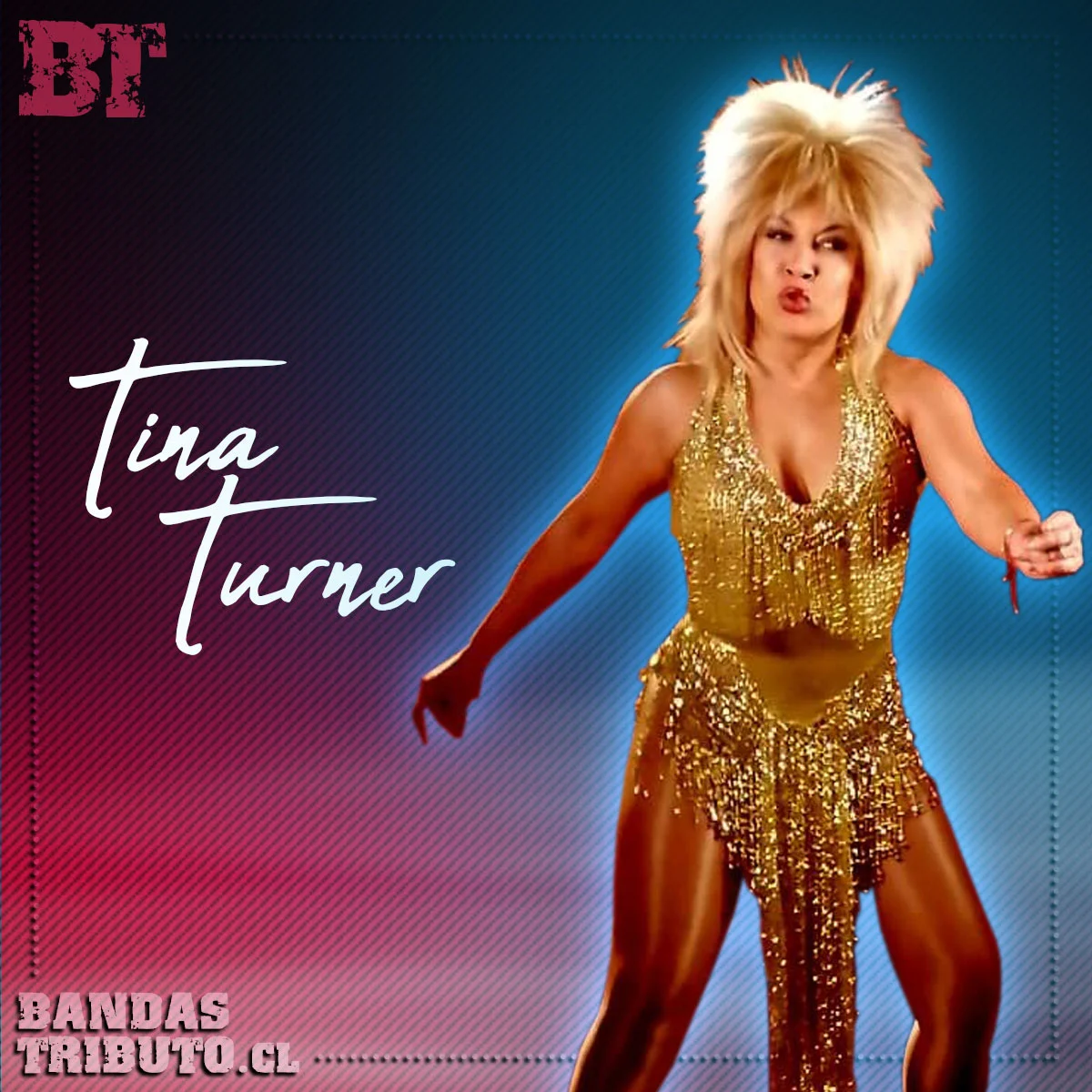 Doble Tina Turner